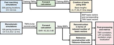 Electrocardiographic Imaging Using a Spatio-Temporal Basis of Body Surface Potentials—Application to Atrial Ectopic Activity